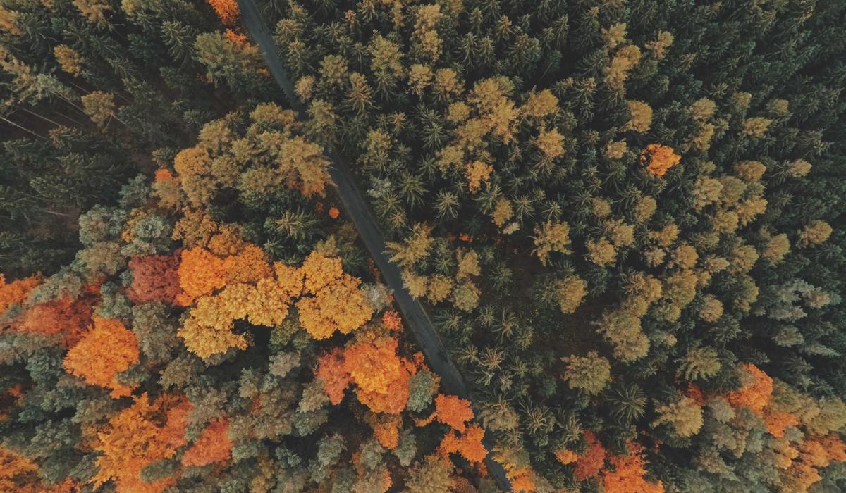 Inside maintaining a small website: notes, examples and checks
